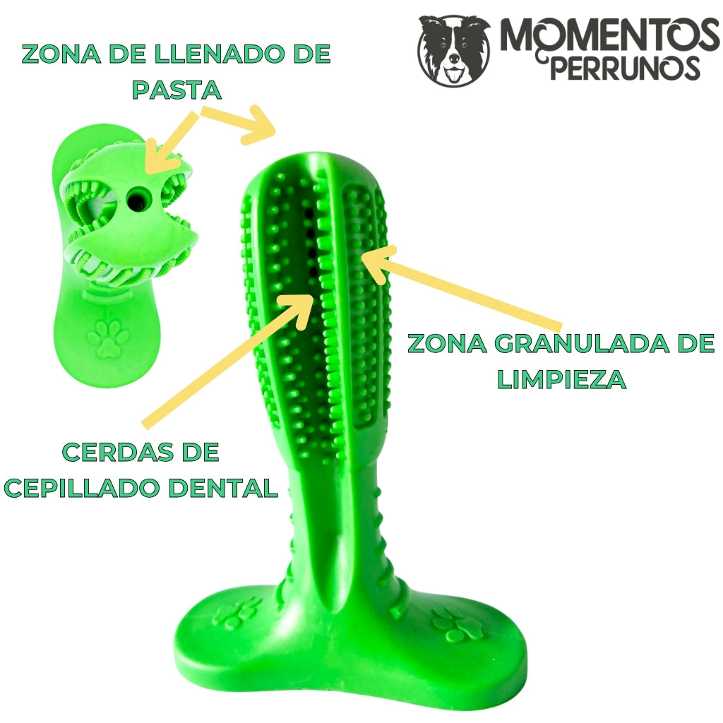 CEPILLO  DENTAL MORDEDOR